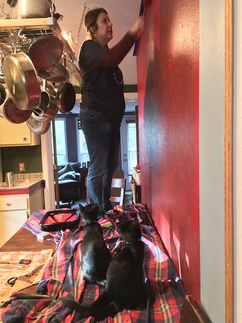 Painting the kitchen
