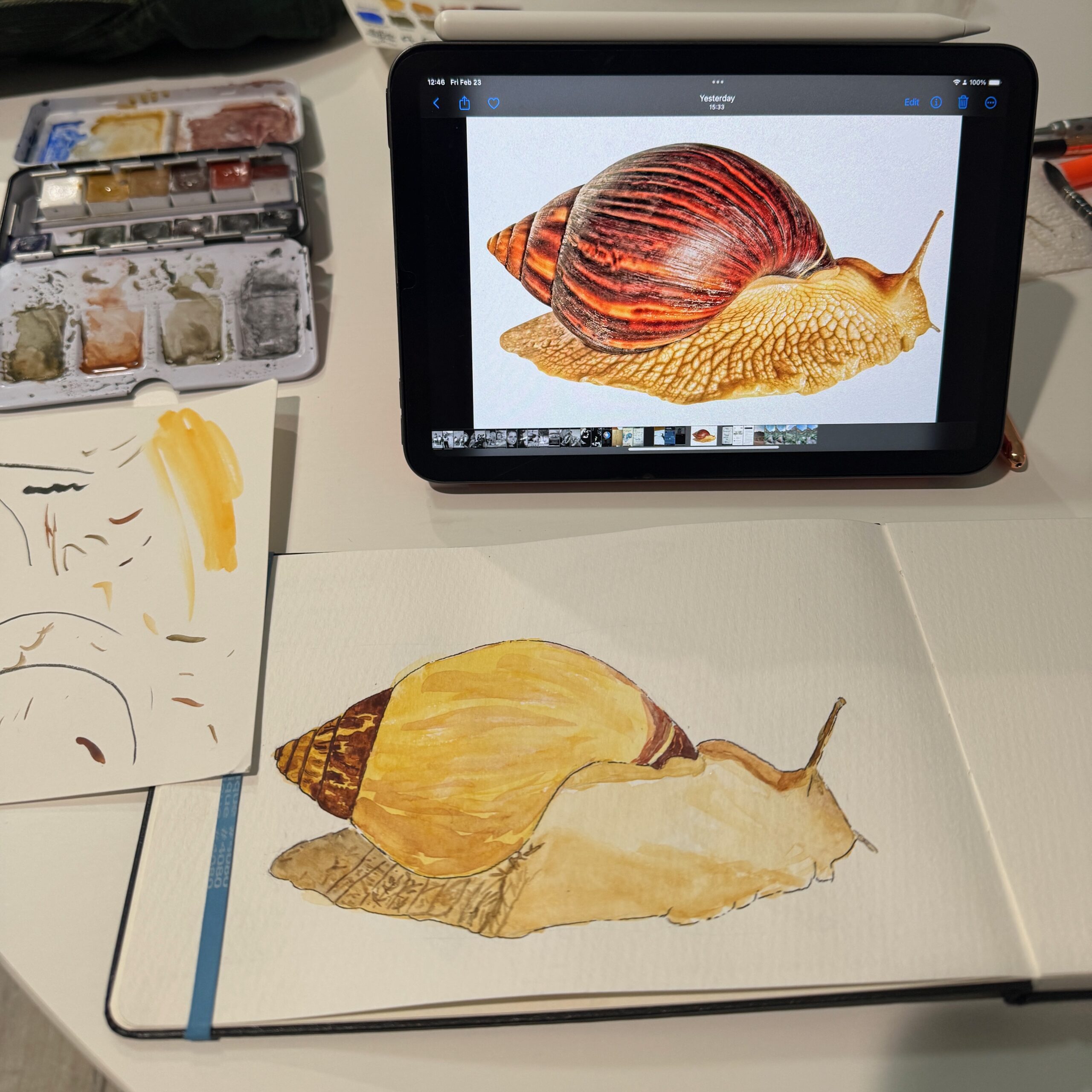 My progress drawing and painting a snail