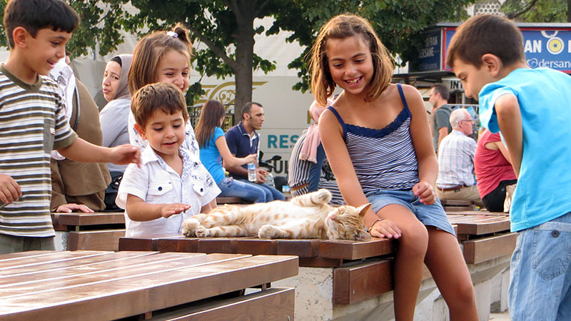 Kids playing with a cat near the Blue Mosque