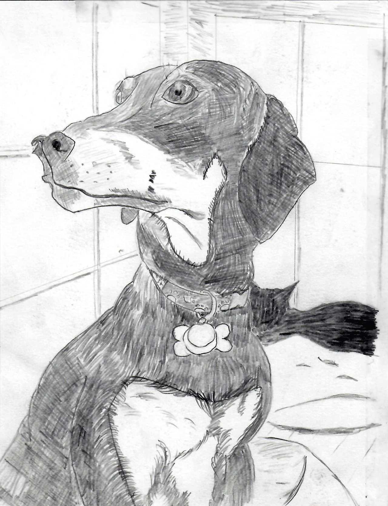 Rough drawing of my dog