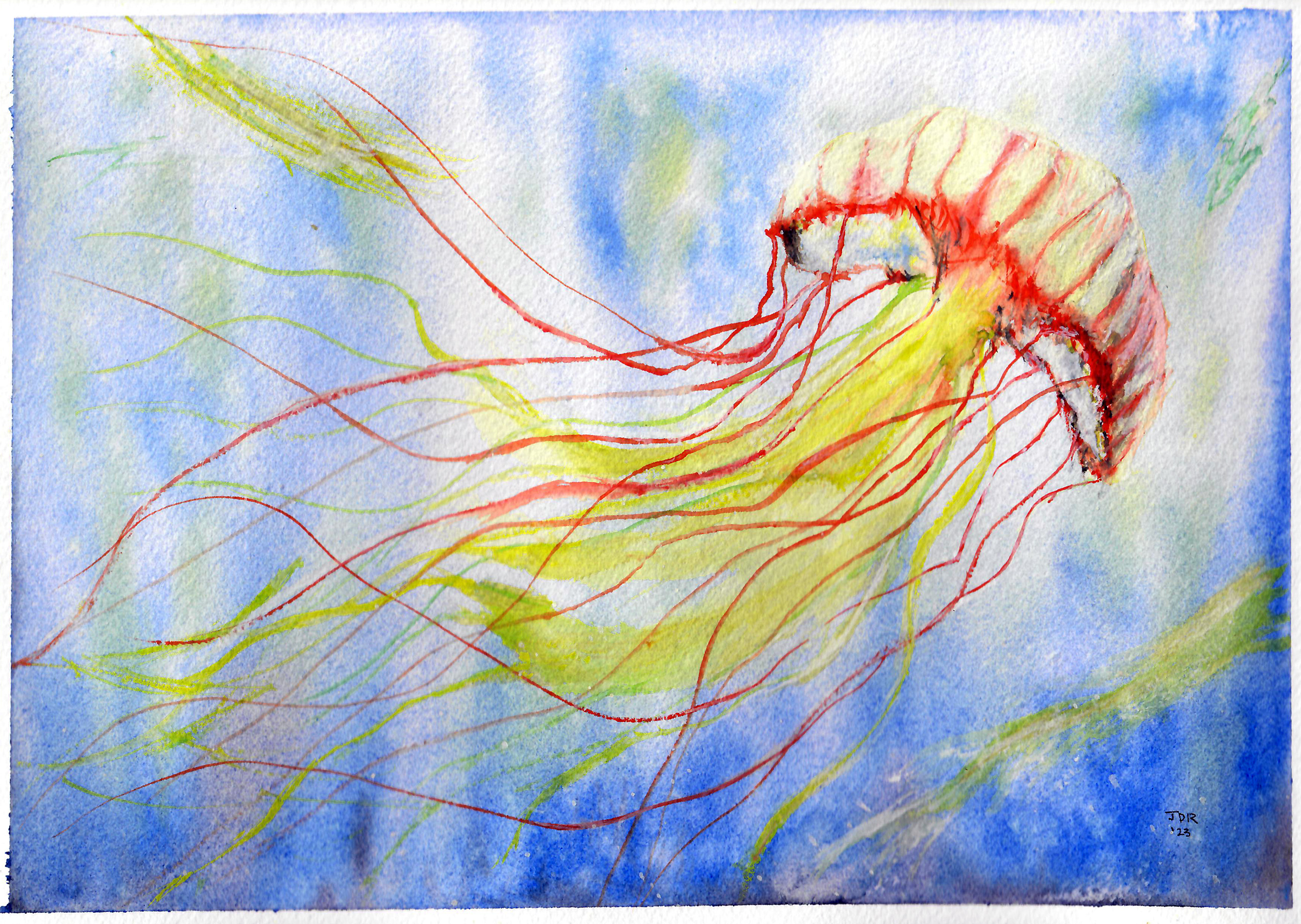 [my full painting of a jellyfish]