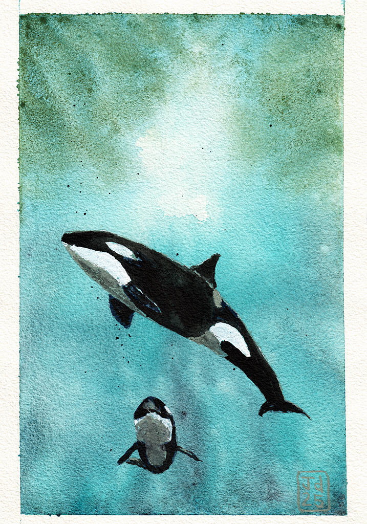 Whales